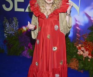 Gwiazdy na ramówce TVN