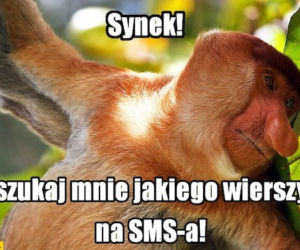 MEMY na święta Bożego Narodzenia 2024. Zobacz najśmieszniejsze obrazki w internecie! [GALERIA]