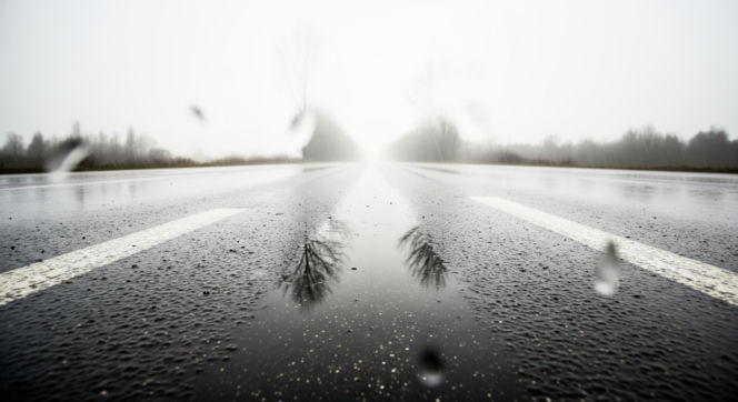 Tragiczny wypadek na DK50. Dlaczego wdowa błaga o pomoc?