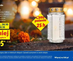 Znicze i chryzantemy w promocji w Lidlu przed 1 listopada 2026