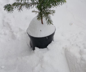 Atak zimy na wybrzeżu. Burze śnieżne, zasypane drogi i alerty IMGW