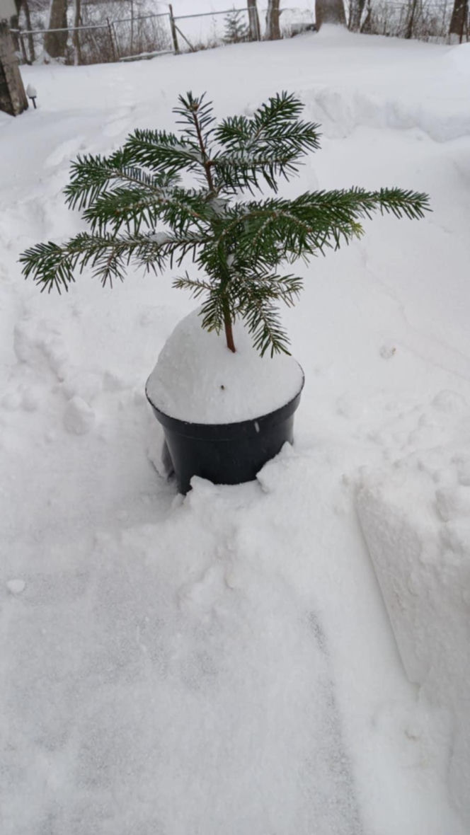 Atak zimy na wybrzeżu. Burze śnieżne, zasypane drogi i alerty IMGW