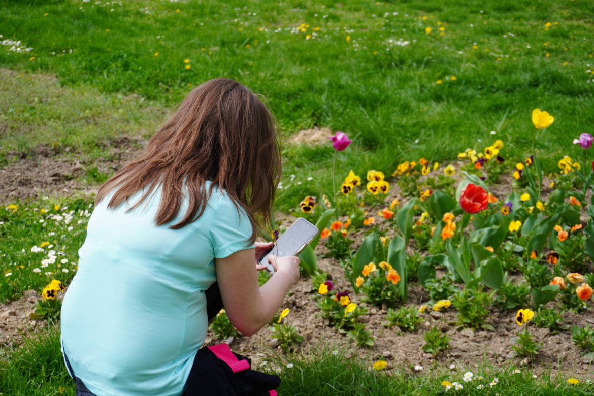 Ogród Botaniczny w Lublinie