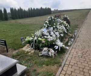 Biały gołąb nad grobem Mateusza