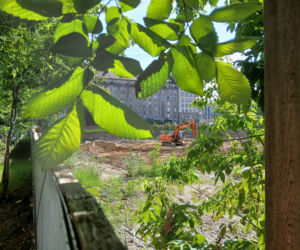 Porządkowanie terenu przy ul. Chmielnej 75 w Warszawie