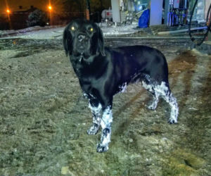 PILNA akcja ratowników w Sosnowcu! Na stacji eksplodował gaz. Budynek runął, są ranni