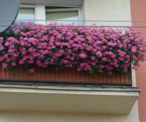 Najpiękniejsze balkony w Starachowicach