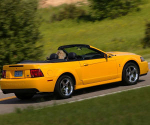 Ford Mustang SVT Cobra Convertible 2004