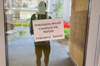 Ktoś zastrzelił papugę na osiedlu Żabiniec w Krakowie