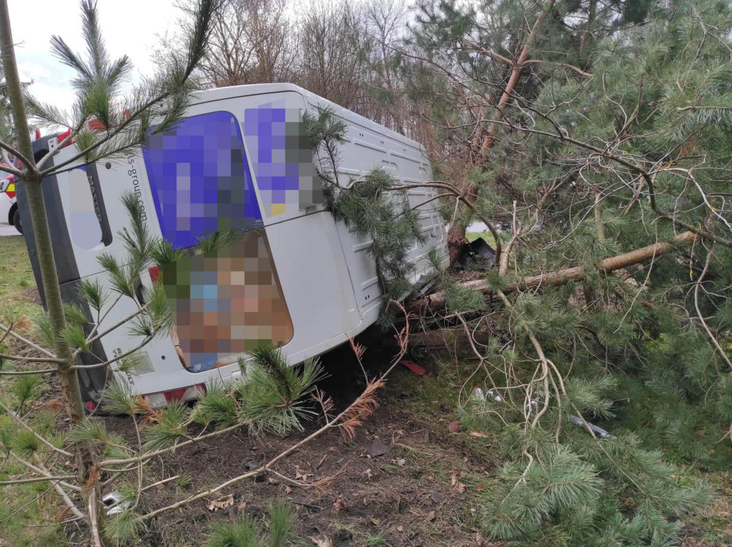 Makabra pod Płockiem! Bus i saab poważnie zniszczone [ZDJĘCIA]