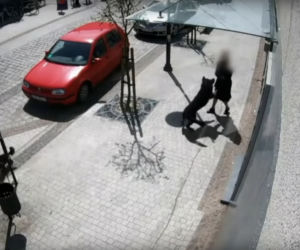 Przerażające sceny w Lęborku! Wielki pies zerwał się ze smyczy i zaatakował trzy osoby. 8-latka pogryziona [ZDJĘCIA].