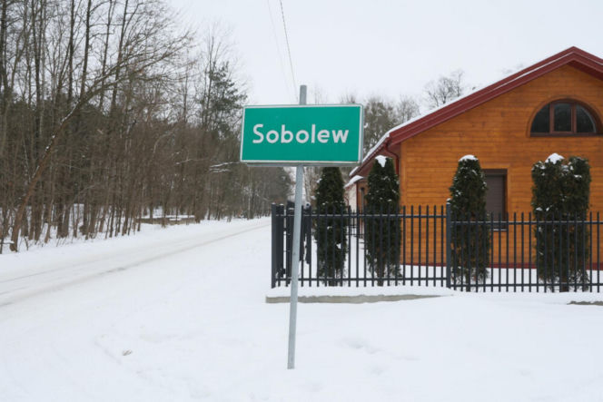 „Maszynka do mielenia mięsa i pałki z krwią”. Kulisy zamknięcia schroniska „Happy Dog”. Co dalej?