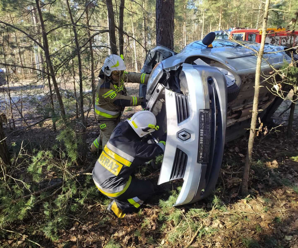 Wypadek na DW 686. Kierowca renault zaparkował między drzewami [ZDJĘCIA]