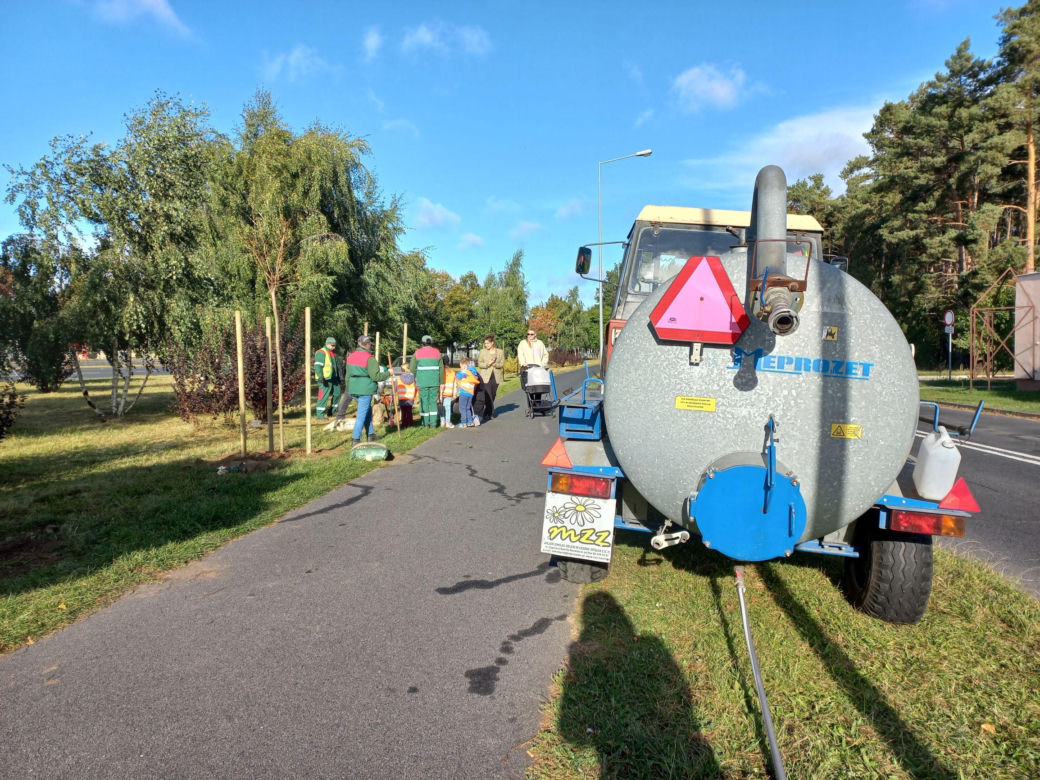 Posadzili ponad 30 drzew na Alejach Konstytucji 3 Maja w Lesznie. Wybrano trzy gatunki