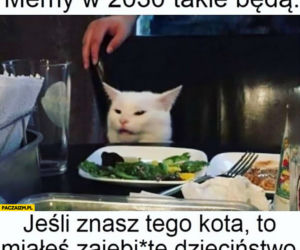 Dzień Kota 2021. Rasowe, dachowce, małe i duże. Dziś KOTY mają swoje święto [MEMY]