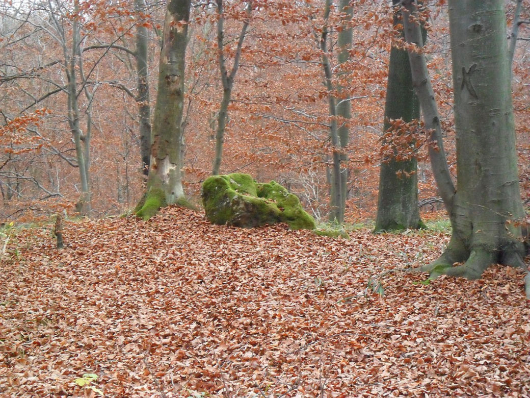 Świątynia Słońca