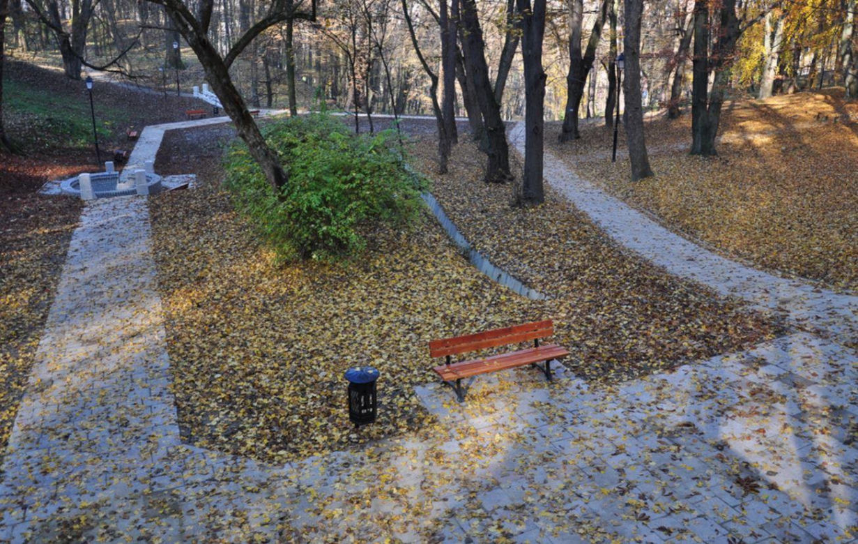 To najpiękniejszy park na Podkarpaciu według AI 