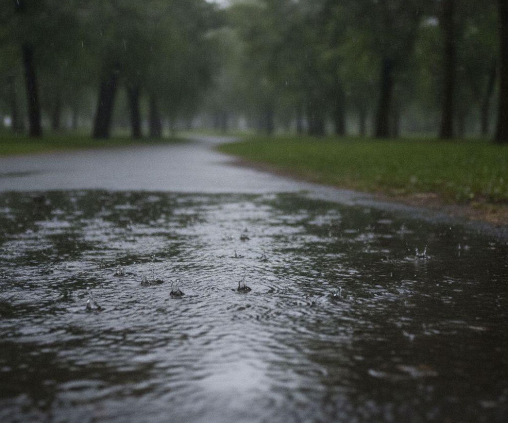 Krople deszczu uderzające w dużą kałużę na asfaltowej ścieżce w parku. O pogodzie we Wrocławiu przeczytasz na SE Wrocław.