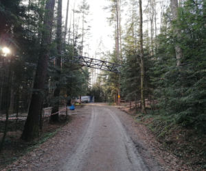 Trwa budowa leśnego molo na miejskiej górze w Starym Sączu