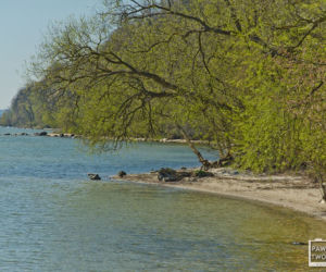 Rzucewo