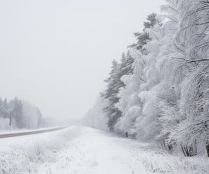 Ostrzeżenie dla Lubelszczyzny! Ta pogoda może być groźna