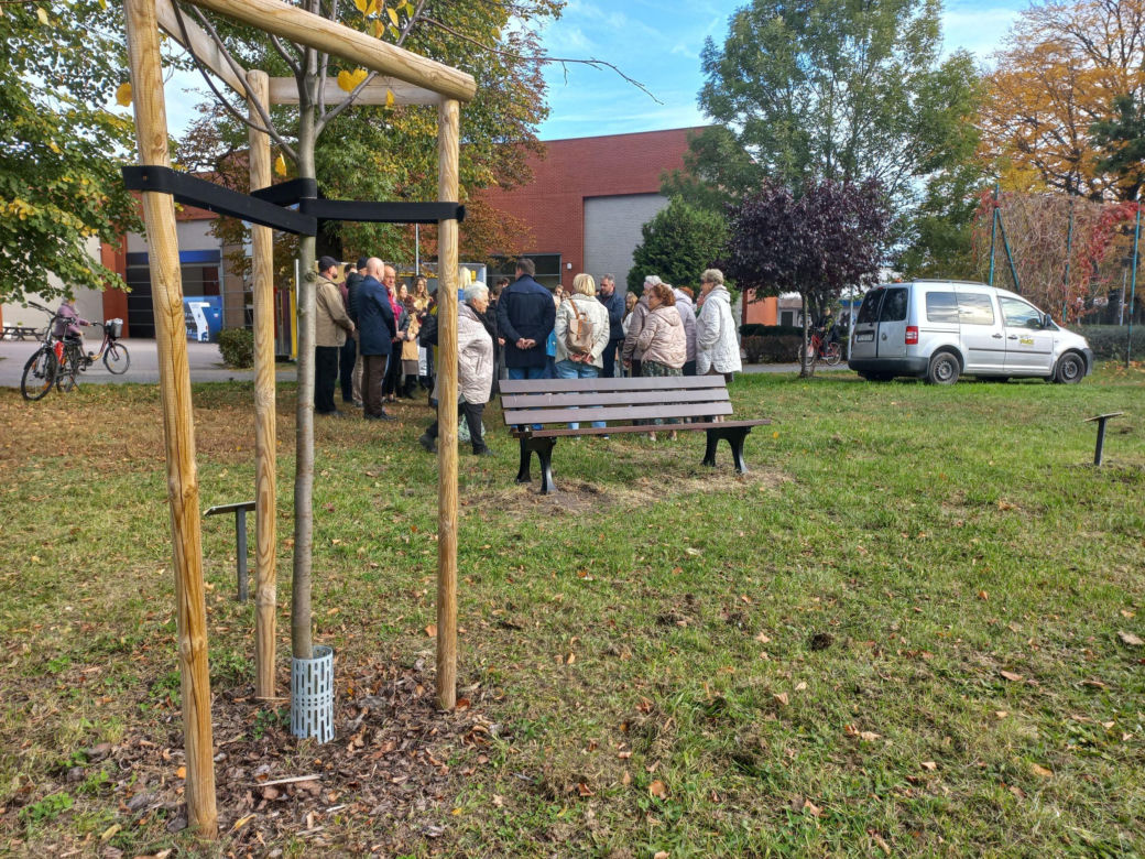 W młodym parku w Lesznie posadzono kolejne drzewa. Każde ma swoją tabliczkę