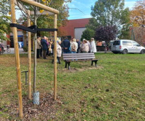 W młodym parku w Lesznie posadzono kolejne drzewa. Każde ma swoją tabliczkę