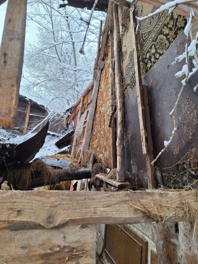 Dach stodoły runął pod naporem śniegu. W środku były zwierzęta