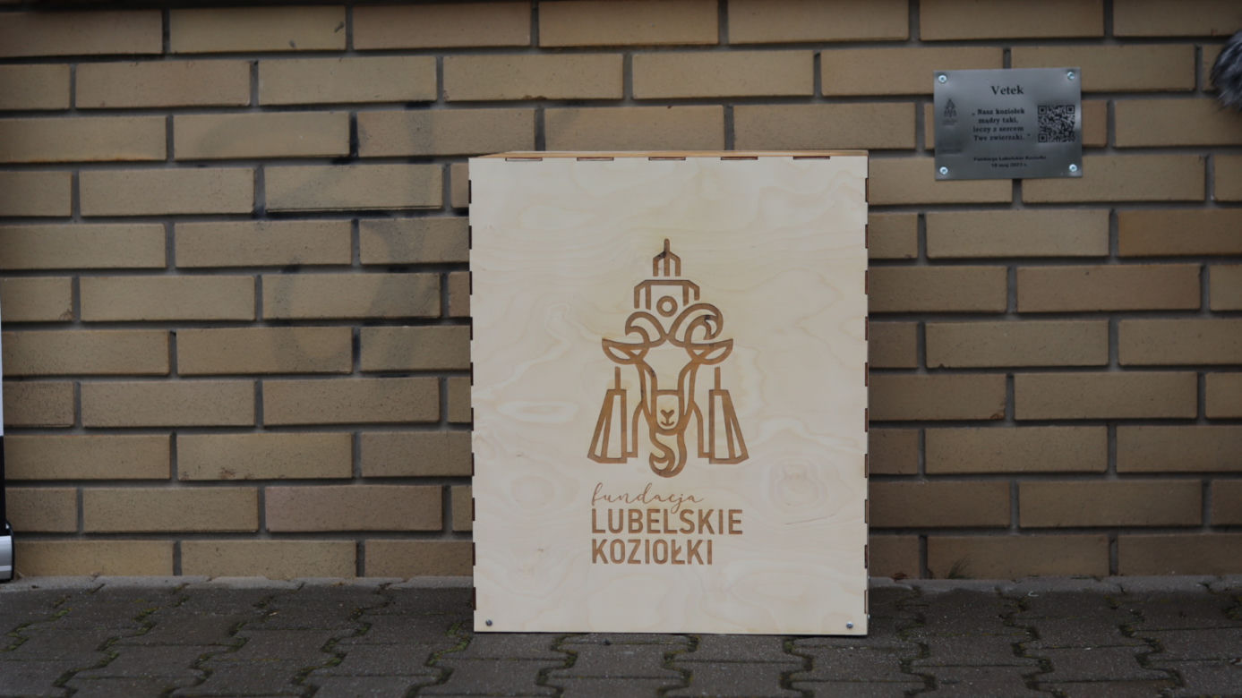 Piąty koziołek już jest! Gdzie znajdziemy Vetka?