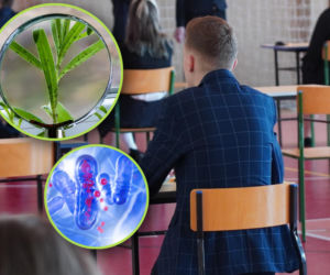Czy zdasz maturę 2026 z biologii? Rozwiąż quiz i sprawdź swoją wiedzę!