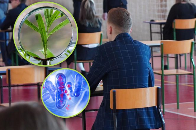 Quiz. Czy zdasz maturę 2026 z biologii? Wynik 5/10 to absolutne minimum!