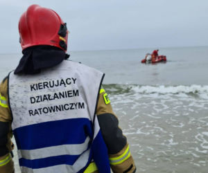 Międzyzdroje: Łania znalazła się w śmiertelnej pułapce. Na pomoc ruszyli strażacy