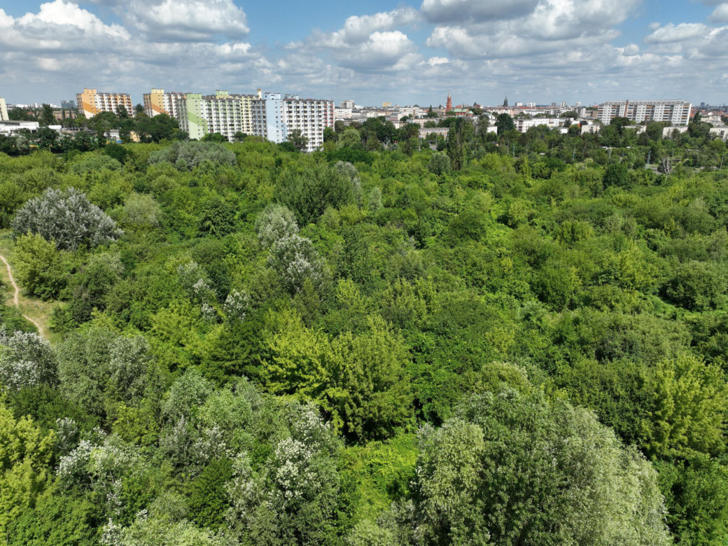 Społecznicy walczą o nowy park w Poznaniu