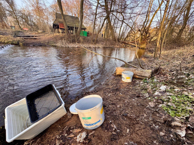 Tragedia w Cierpicach pod Toruniem. Ciało mężczyzny leżało w rzece