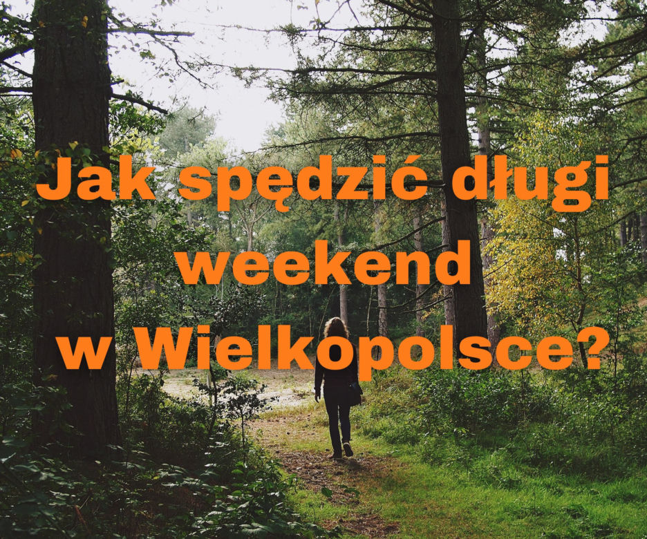 Jak spędzić długi weekend w Wielkopolsce? 