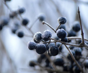 Nie tyko kwiecień plecień. Tak przepowiadały przyszłość nasze babki! Te kwietniowe przysłowia mogą zaskoczyć