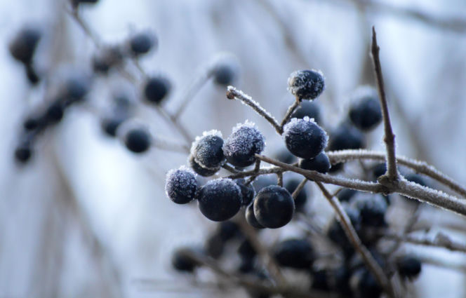 Nie tyko "kwiecień plecień". Tak przepowiadały przyszłość nasze babki! Te kwietniowe przysłowia mogą zaskoczyć