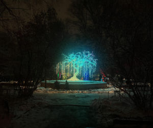 Odwiedziliśmy zaśnieżony Magiczny Botaniczny. Świetlista atrakcja w Warszawie przyciąga tłumy