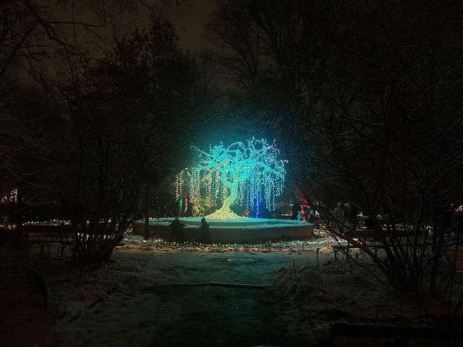 MagicznyBotaniczny 2025/2026 w Warszawie