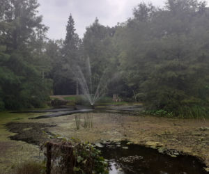 Arboretum Bolestraszyce