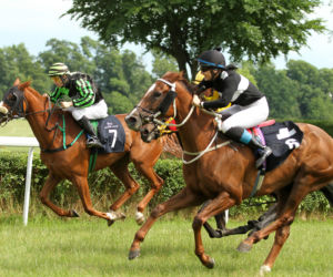 Ladies Day i Crystal Cup na Partynicach