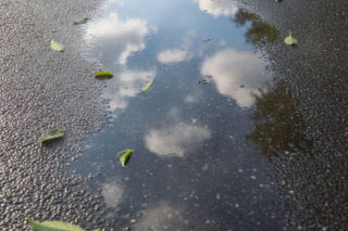 Temperatura w Wrocławiu mocno wzrośnie. Finał weekendu może pokrzyżować plany