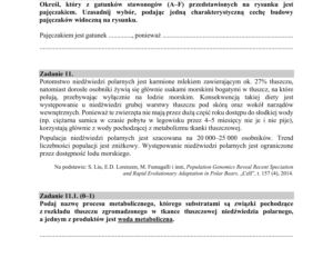 ARKUSZE CKE - Matura biologia 2019
