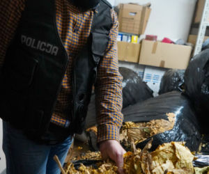 Akcja policji z Bydgoszczy na terenie powiatu. Zatrzymany naraził skarb państwa na stratę gigantycznych pieniędzy