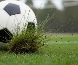 Ekstraklasa piłkarska: Dotkliwa porażka Cracovii. Jak trener Elsner ocenił fatalną postawę?