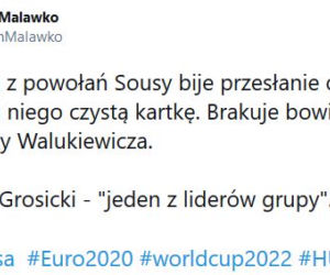Reakcja internautów na powołania Sousy