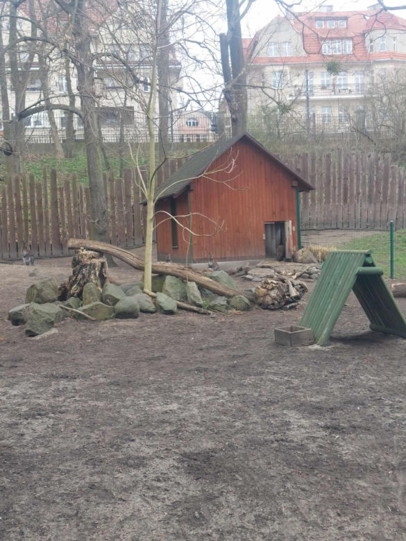 Taraje i kangurzątka. Złoty czas Ogrodu Zoobotanicznego w Toruniu
