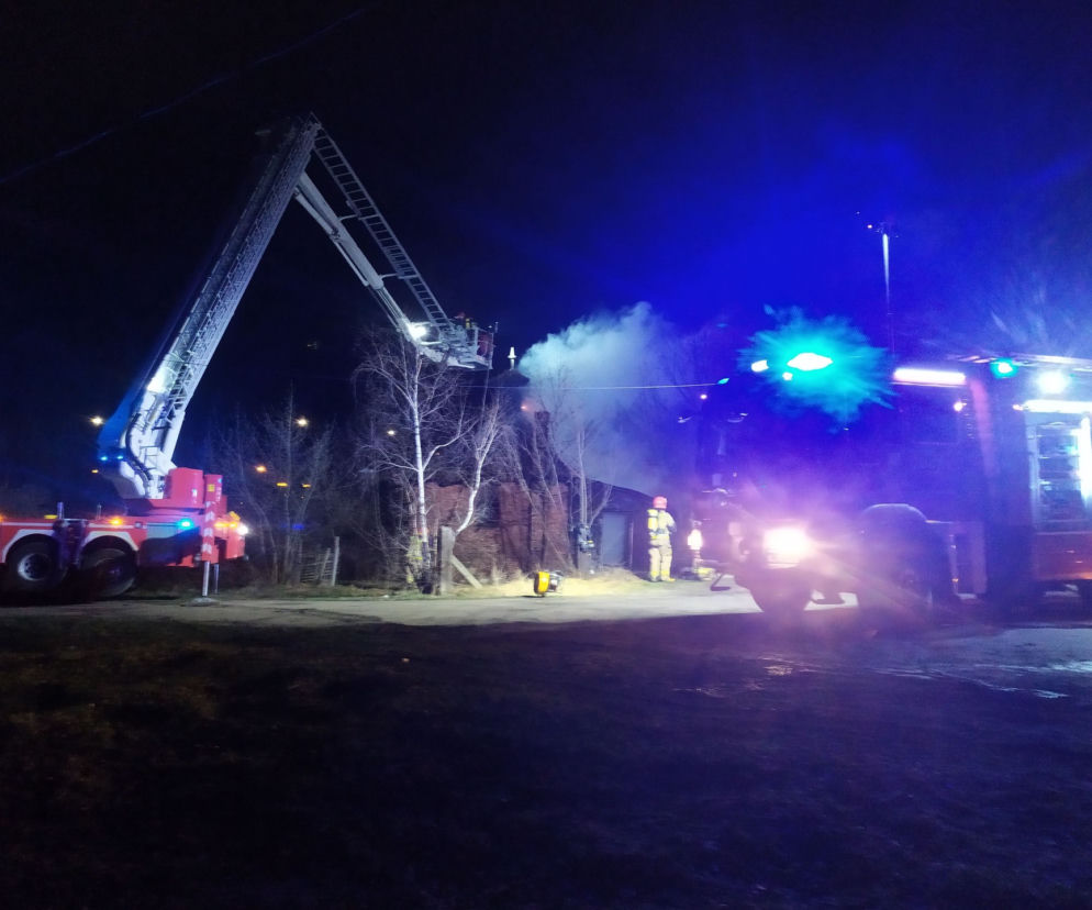 Dąbrowa Wielka: Ogromny pożar w hali do produkcji peletu. Długie godziny walki z żywiołem