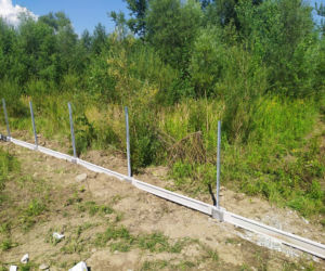 Trwa budowa wybiegu dla psów