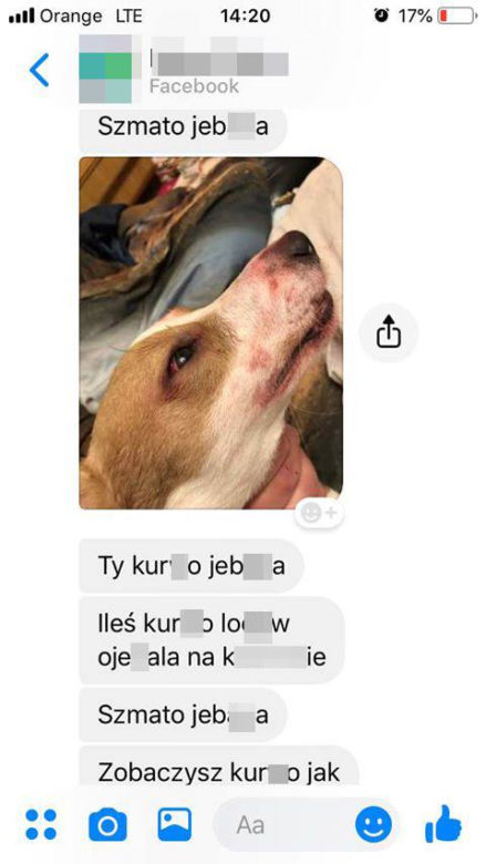 Rzuciła go dziewczyna, więc brutalnie skatował psa. "Patrz kur*o jeb**a szmato, krew tryska na wszystkie strony" [DRASTYCZNE ZDJĘCIA]